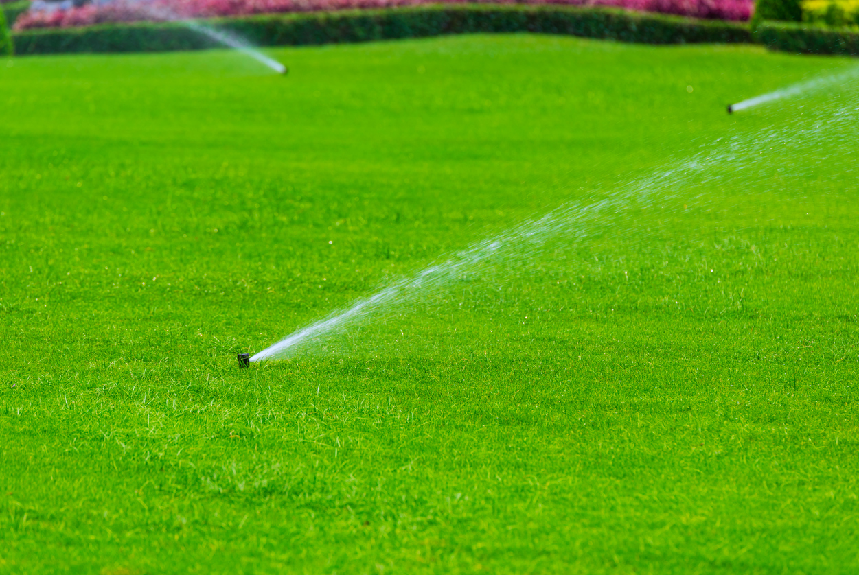 BACKYARD IRRIGATION SYSTEMS Trace Lawn & Landscaping