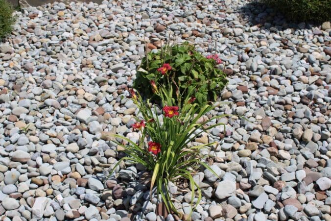 Greenville, PA Commercial Landscape Maintenance Team