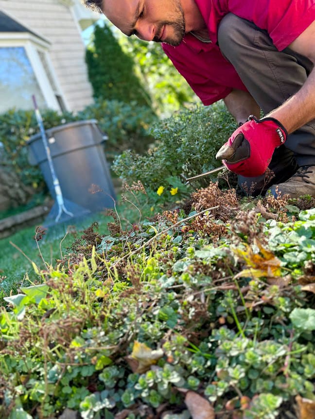 Lawn Mowing Services Greenville, PA